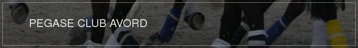 PEGASE CLUB AVORD